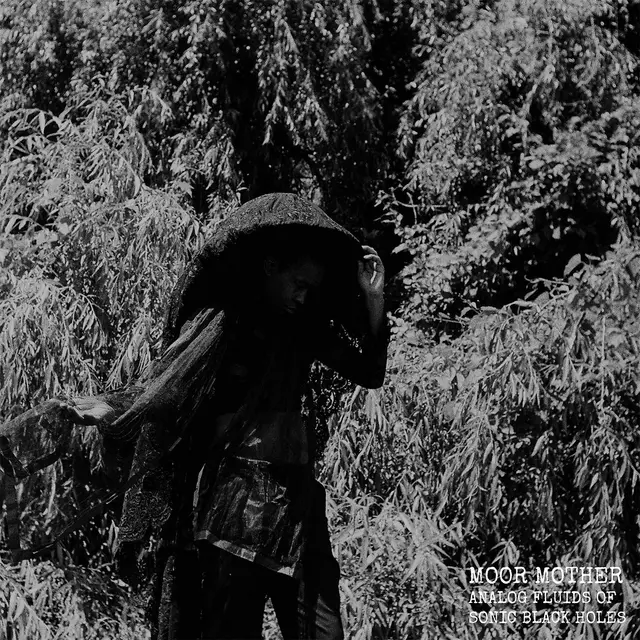 Moor Mother Analog Fluids Of Sonic Black Holes (LP) 