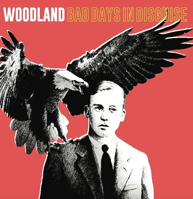 Woodland Bad Days In Disguise (LP) 