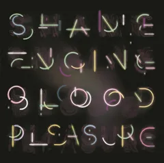 Health &amp; Beauty Shame Engine/Blood Pleasure (LP)