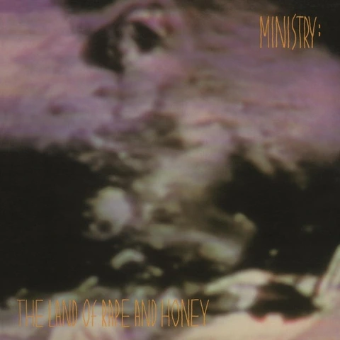 Ministry The Land Of Rape And Honey (LP) 