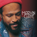Marvin Gaye Collected (2LP)