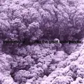 Trentemøller Into The Great Wide Yonder (2LP)