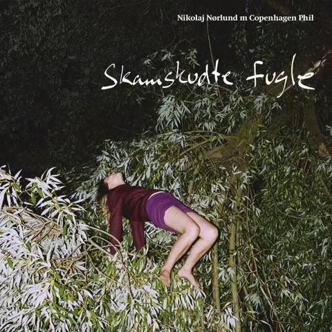 Nikolaj Nørlund / Copenhagen Phil Skamskudte Fugle (LP) 