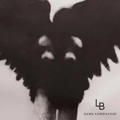 Lars Bygdén Dark Companion - LTD (LP)