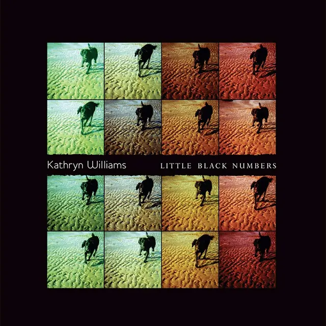 Kathryn Williams Little Black Numbers (LP) 