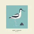 Bert Jansch Avocet - Expanded Anniv. (LP)