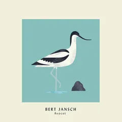 Bert Jansch Avocet - Expanded Anniv. (LP)