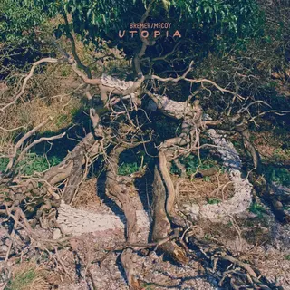 Bremer/McCoy Utopia (LP)