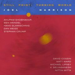 Joel Harrison Still Point: Turning World (2LP)