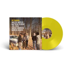 In Common In Common - LTD (LP)