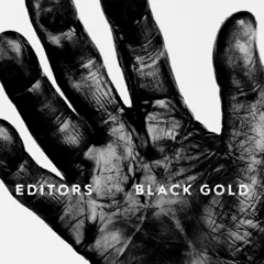 Editors Black Gold: Best Of Editors - LTD (2LP)