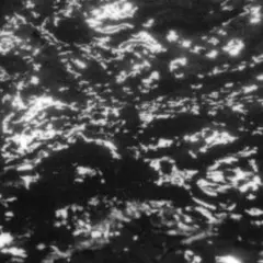 Grouper A I A: Dream Loss (12")