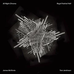 James McVinnie All Night Chroma (LP)