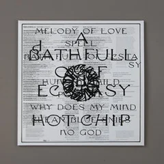 Hot Chip A Bath Full of Ecstasy - LTD (2LP)