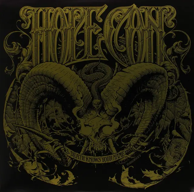 The Hope Conspiracy Death Knows Your Name (LP) 