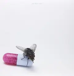 Red Hot Chili Peppers I'm With You (2LP)