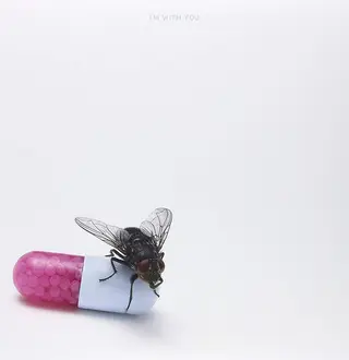 Red Hot Chili Peppers I'm With You (2LP)