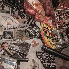 The Cardboard Swords The Cardboard Swords (LP)