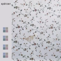 Spätzer Derive (LP)