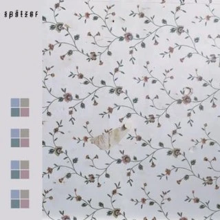 Spätzer Derive (LP) 