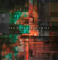 The Pineapple Thief Hold Our Fire (LP)