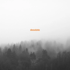Desolate Exceptionalism (2LP)