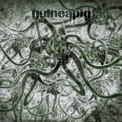 Guineapig Bacteria - LTD (LP)