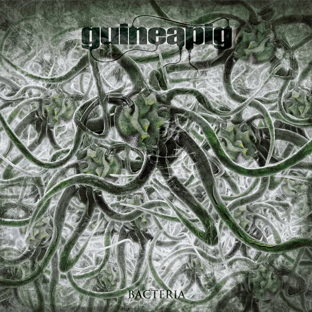 Guineapig Bacteria - LTD (LP) 