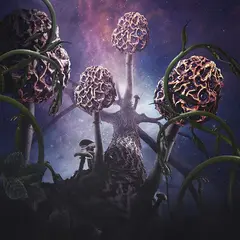 Blut Aus Nord Hallucinogen (2LP)