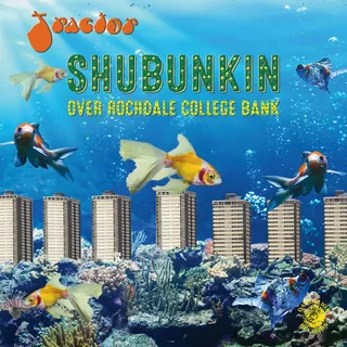 Tractor Shubunkin Over Rochdale College Bank(LP)