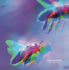 Thurston Moore Pollination / Leave Me Alone (7")