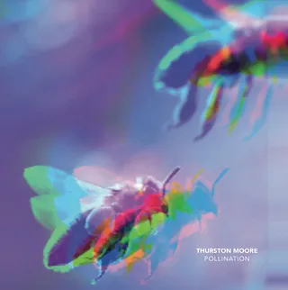 Thurston Moore Pollination / Leave Me Alone (7")