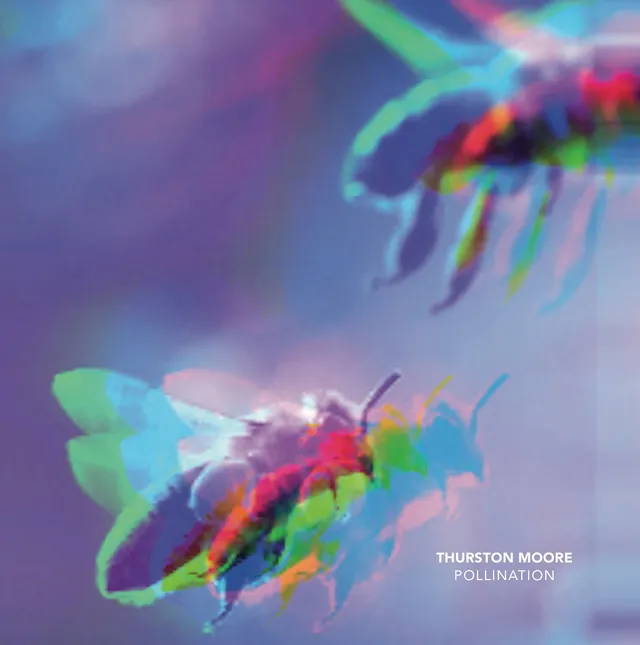 Thurston Moore Pollination / Leave Me Alone (7") 