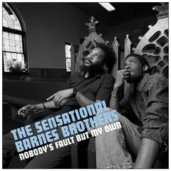 The Sensational Barnes Brothers Nobody's Fault But My Own (LP)