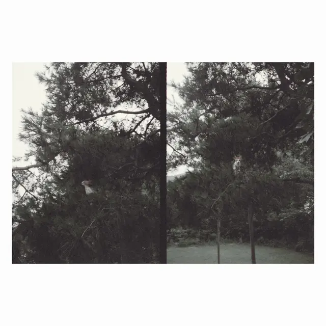 Okkyung Lee just like any other day … (LP) 