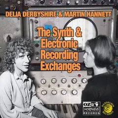 Delia Derbyshire &amp; Martin Hannett The Synth &amp; Electronic Recording... (LP)