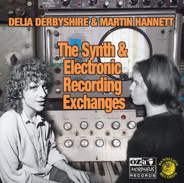 Delia Derbyshire & Martin Hannett The Synth & Electronic Recording... (LP) 