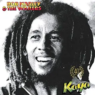 Bob Marley &amp; The Wailers Kaya 40 (2LP)