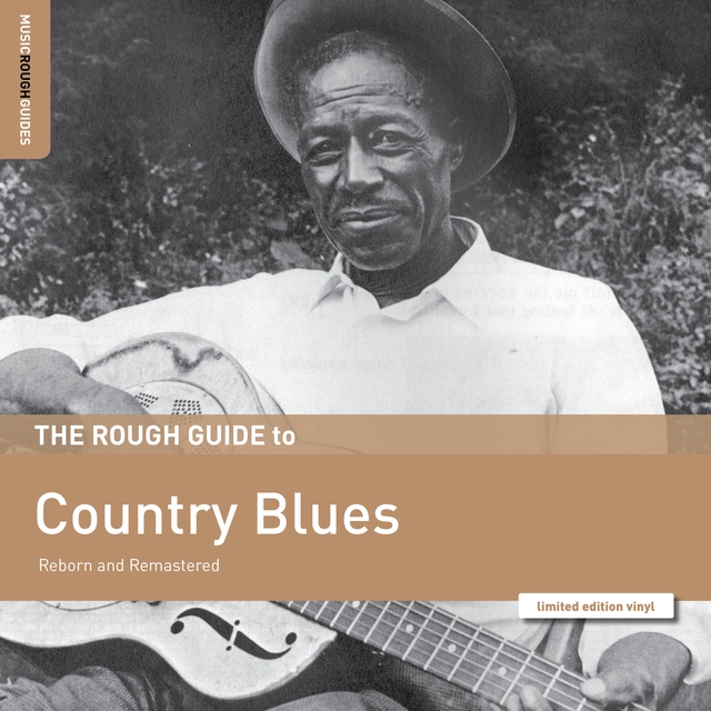 Diverse Artister The Rough Guide To Country Blues (LP) 