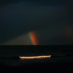 Electric Litany Under A Common Sky - LTD (LP)