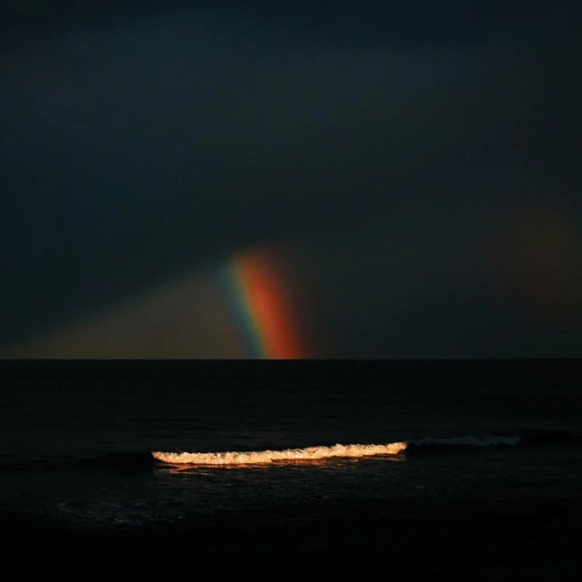Electric Litany Under A Common Sky - LTD (LP) 