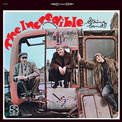 The Incredible String Band The Incredible String Band (LP)