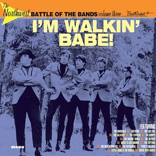 Diverse Artister The Northwest Battle Of The Bands 3 (LP) 