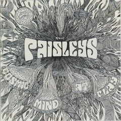 The Paisleys Cosmic Mind At Play (LP)