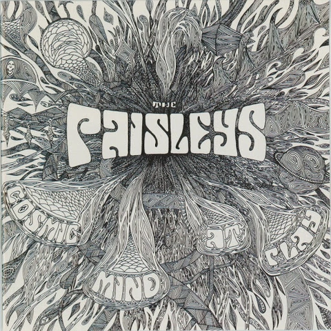 The Paisleys Cosmic Mind At Play (LP) 