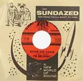 The End Result Never Ask Again/A Bird In The Hand (7")