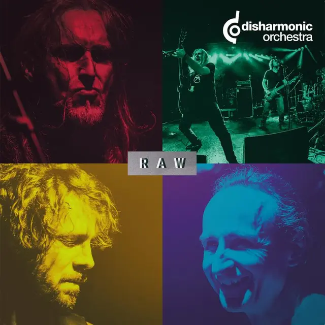 Disharmonic Orchestra Raw (LP) 