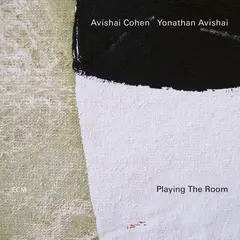 Avishai Cohen &amp; Yonathan Avishai Playing The Room (LP)