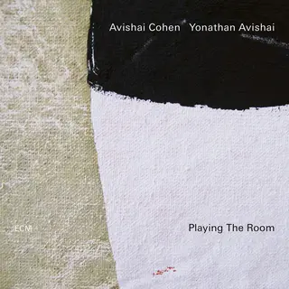 Avishai Cohen &amp; Yonathan Avishai Playing The Room (LP)
