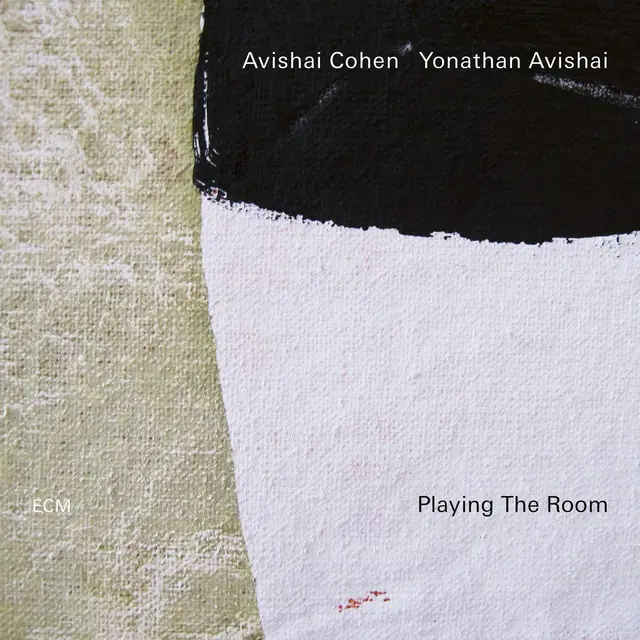 Avishai Cohen & Yonathan Avishai Playing The Room (LP) 